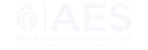 AES Logo